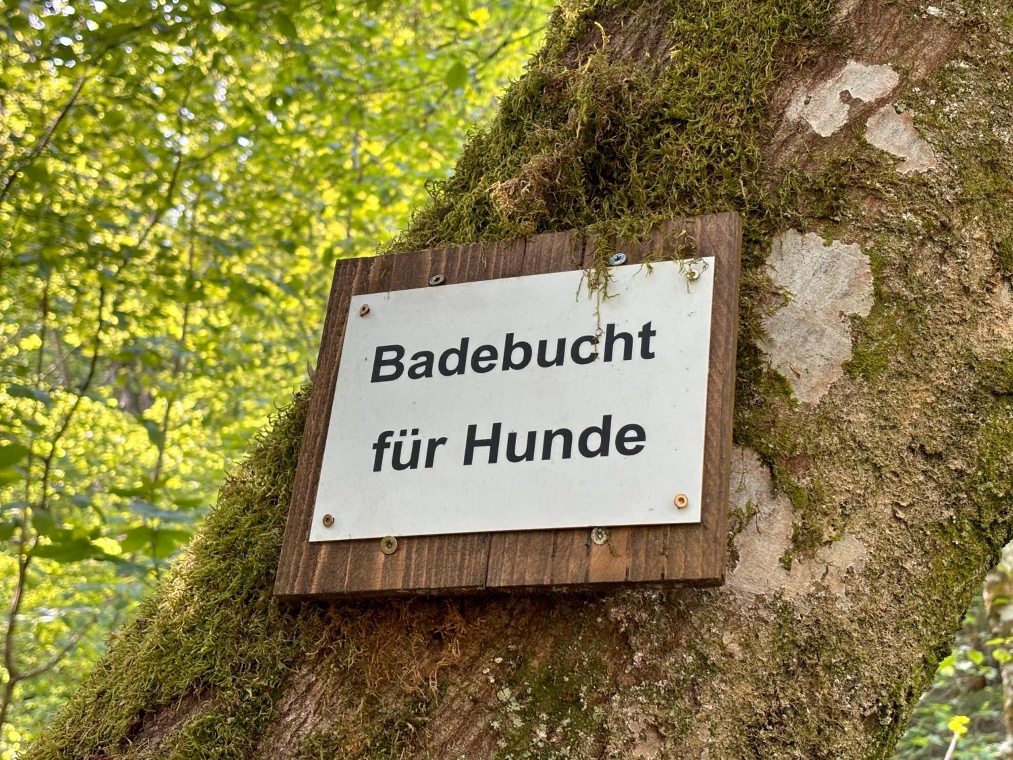 Plaetzchen Am Krebsberg Fuer Alle Fae Simmerath Luaran gambar